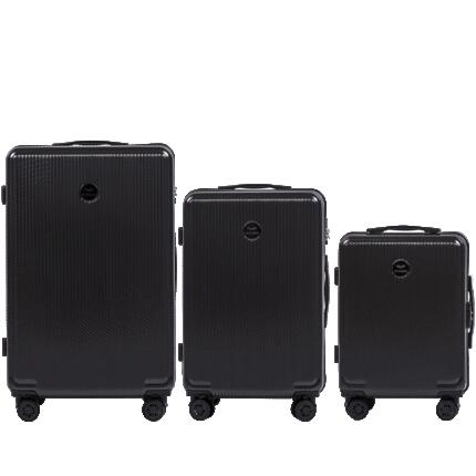 Valise moyenne Wings PC African Eagle 24" ARGENT