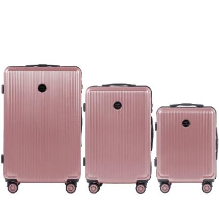Valise moyenne Wings PC African Eagle 24" ARGENT