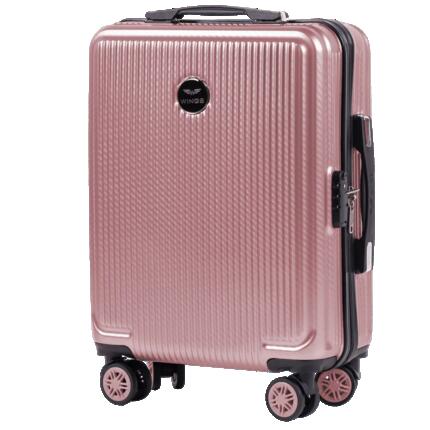 Valise moyenne Wings PC African Eagle 24" ARGENT