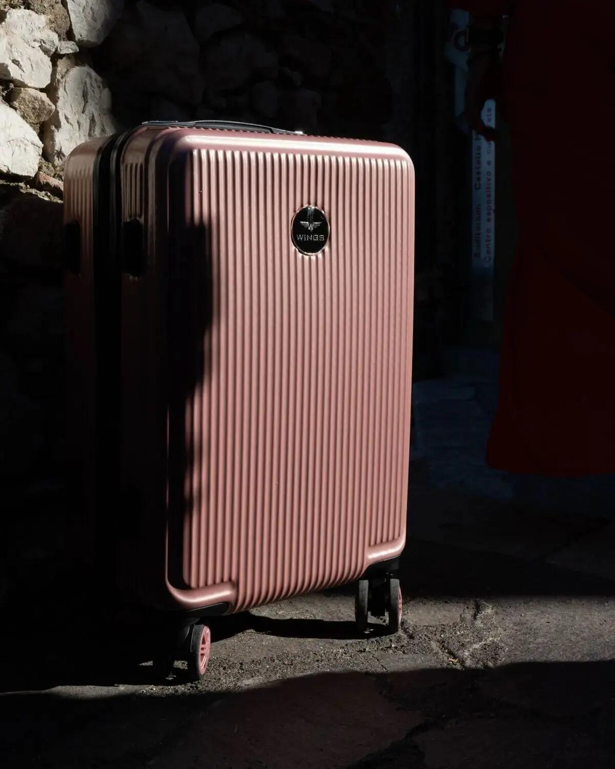 Valise cabine Wings PC African Eagle 2.0 20" ROSE 2/10