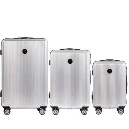 Valise moyenne Wings PC African Eagle 24" ARGENT