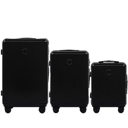Valise moyenne Wings PC African Eagle 24" ARGENT