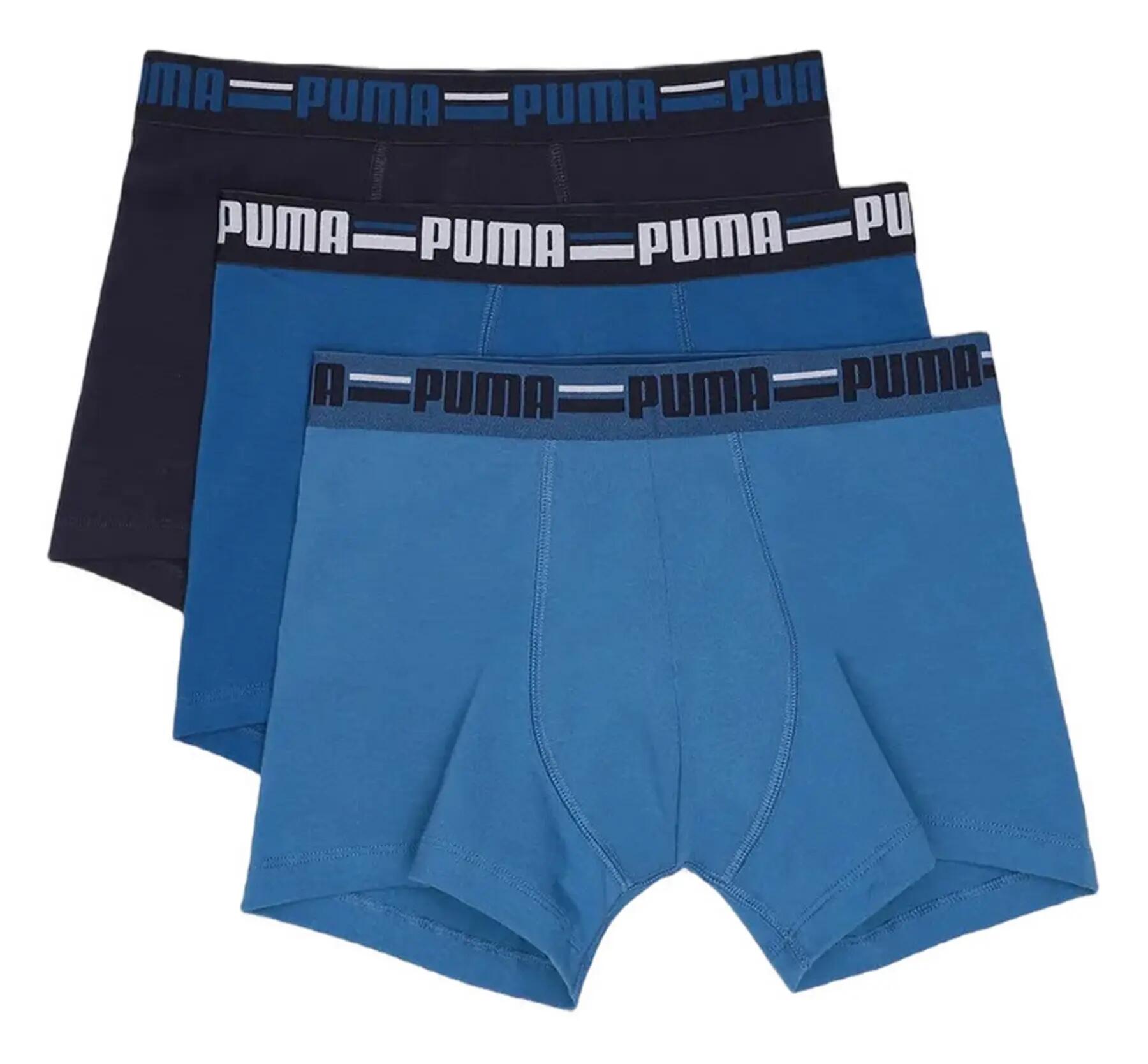 PUMA picture