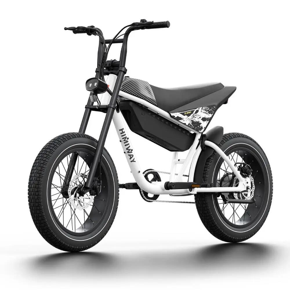Adult Electric Bike C5 Sport 20"x4.0" Fat Tire 48V 20Ah Battery