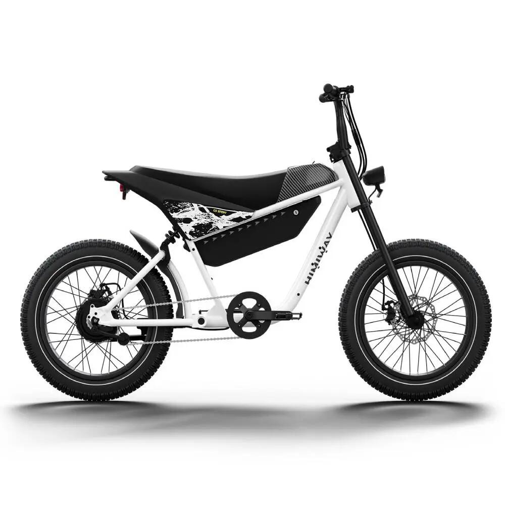 Bicicletta elettrica per adulti C5 Sport, pneumatici larghi 20" × 4,0", 48V20Ah 3/7