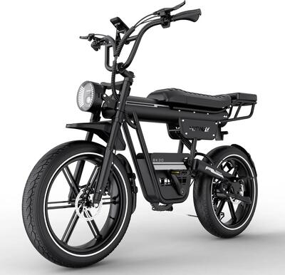 Elektrische fatbike 20" 48v 23,4ah uitneembare accu bk30