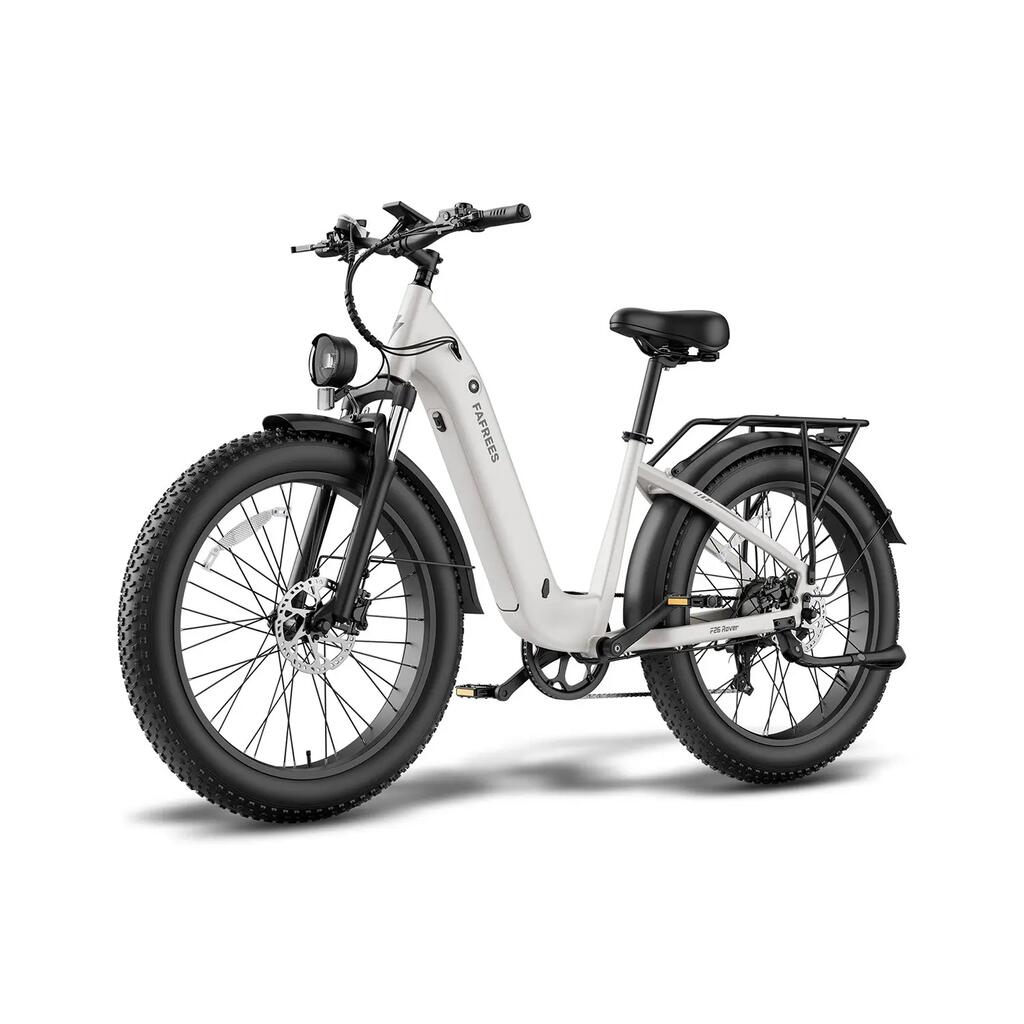 Electric Bike FAFREES F26 ROVER 48V20Ah 70-95km 26x4.0" Colour Grey