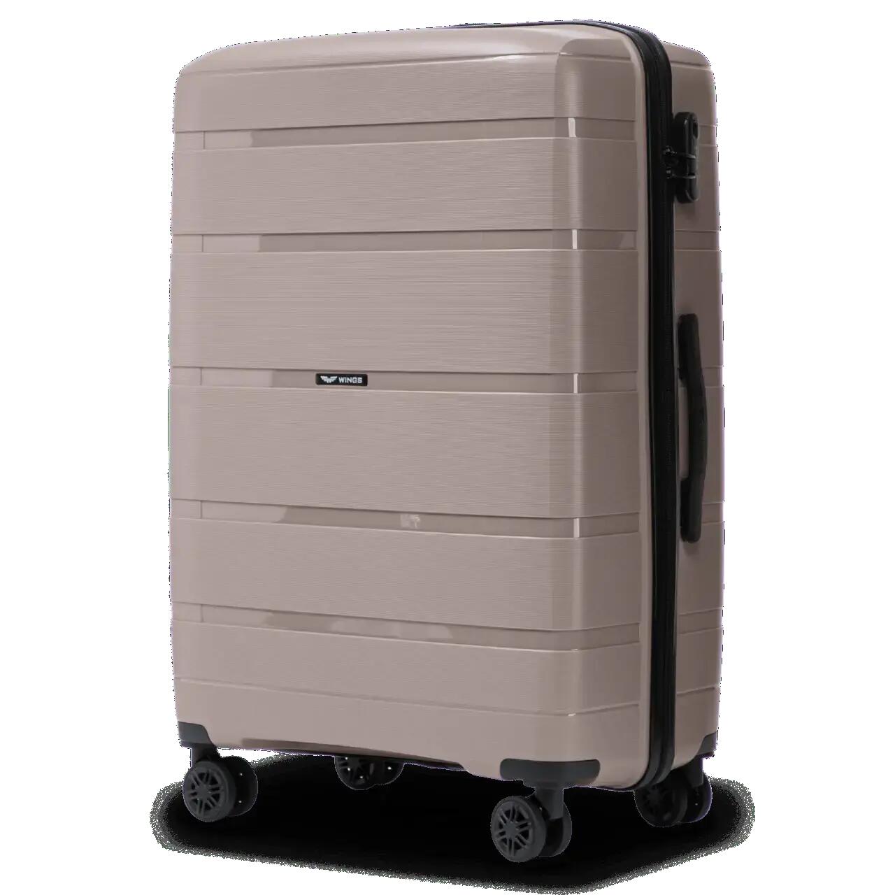 WINGS picture