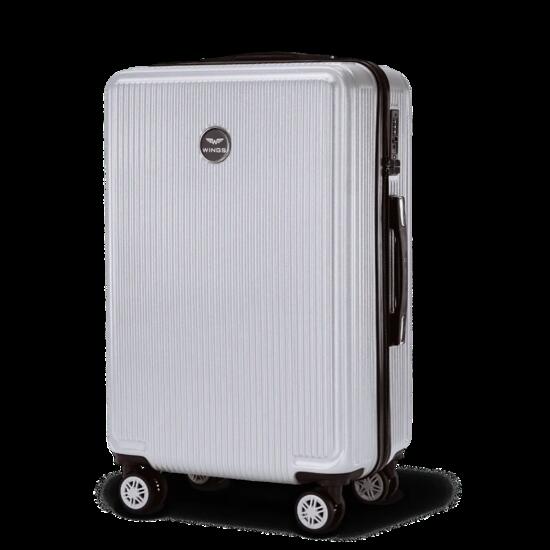 Valise moyenne Wings PC African Eagle 2.0 24" ARGENT