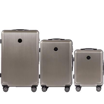 Valise moyenne Wings PC African Eagle 24" ARGENT