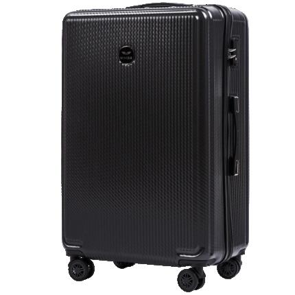 Valise moyenne Wings PC African Eagle 24" ARGENT