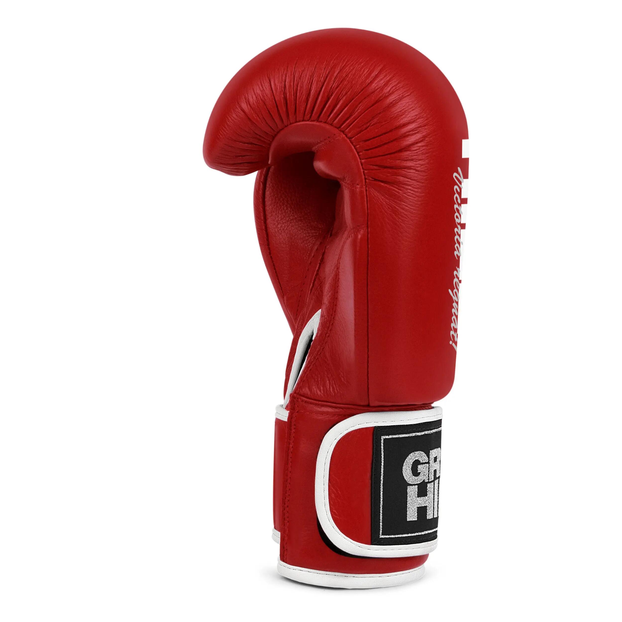 Guantoni Boxe Lion da Allenamento Protezione Antishock e Sparring 3/4