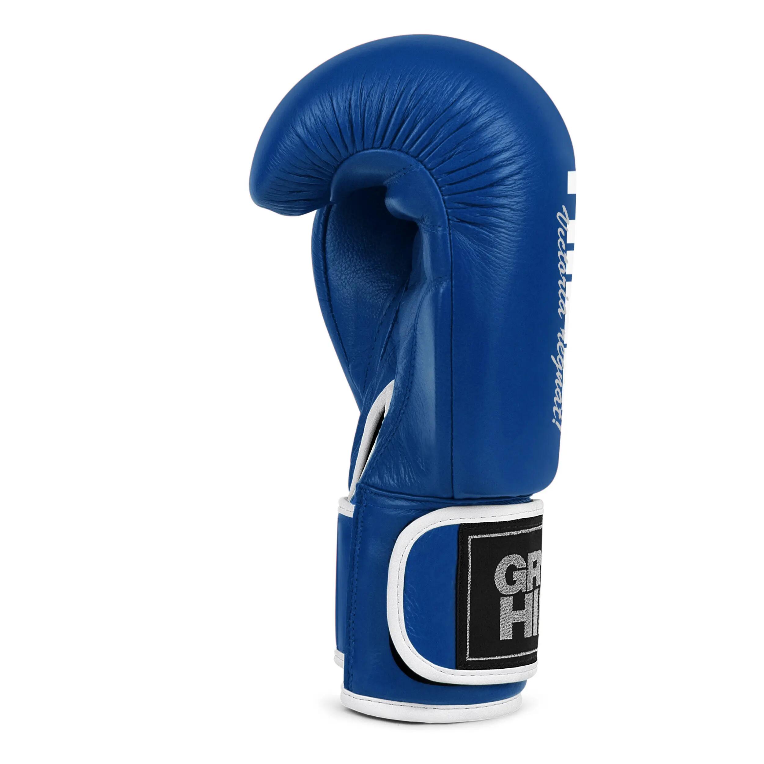 GREEN HILL Guantoni Boxe Lion da Allenamento Protezione Antishock e Sparring 3/4