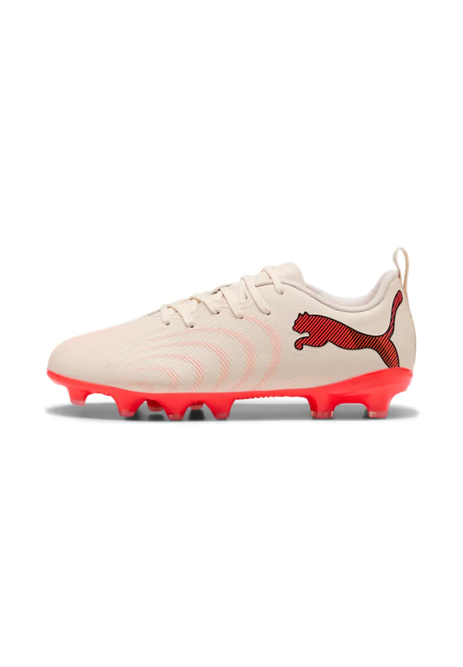 PUMA picture