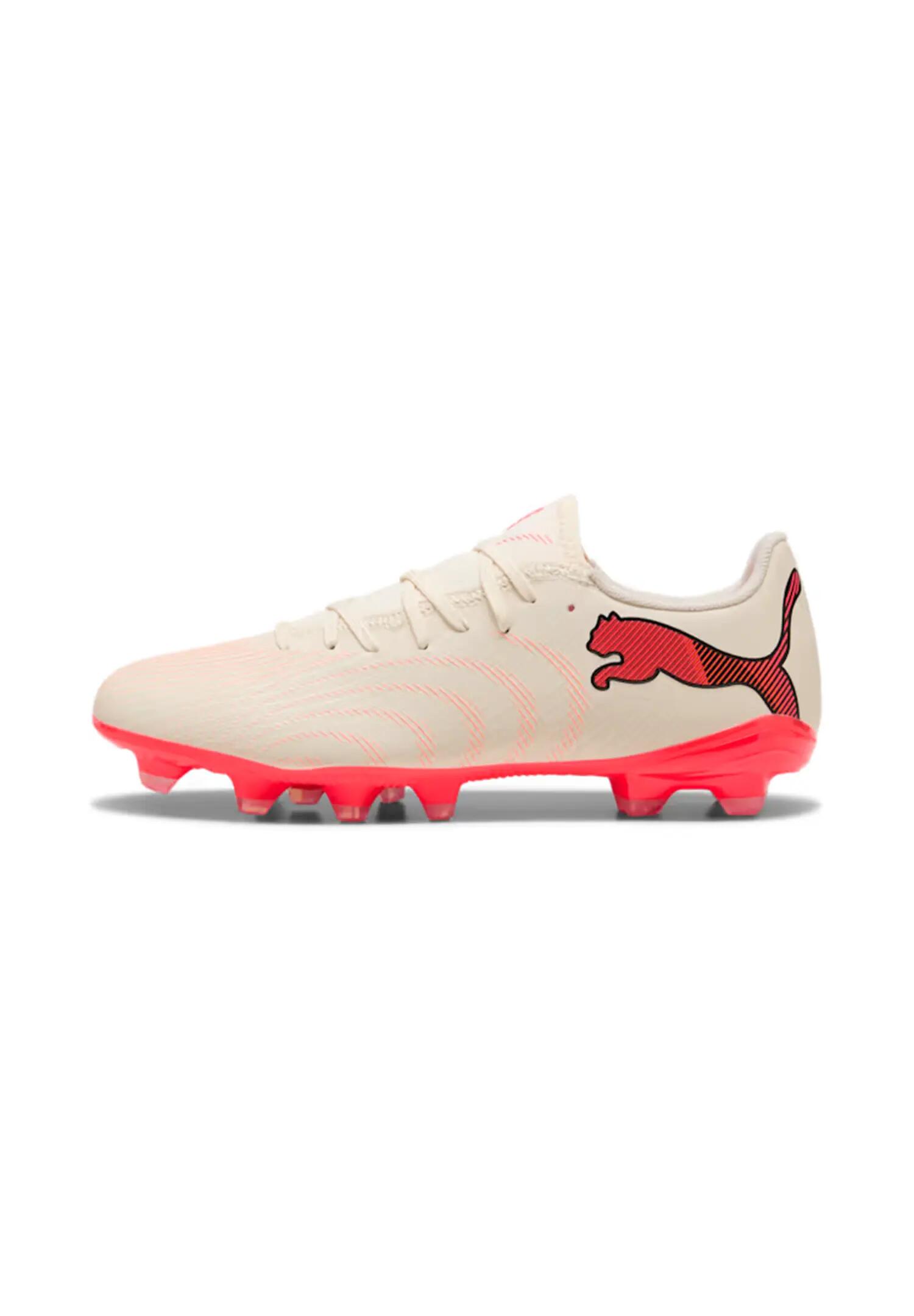 PUMA picture