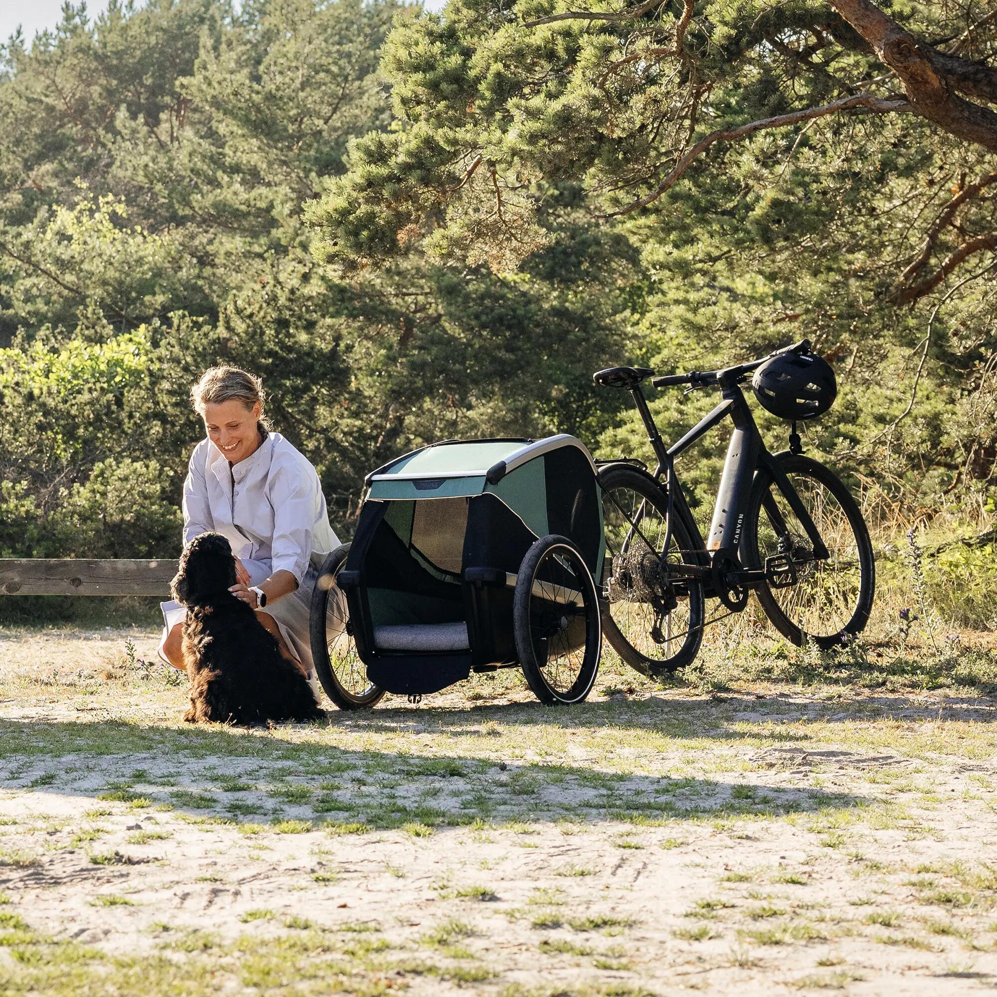 Dog trailer Thule Bexey 8/8