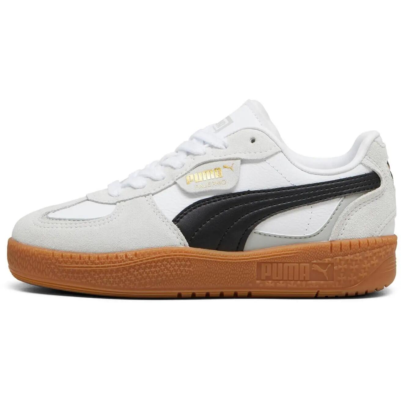 PUMA picture