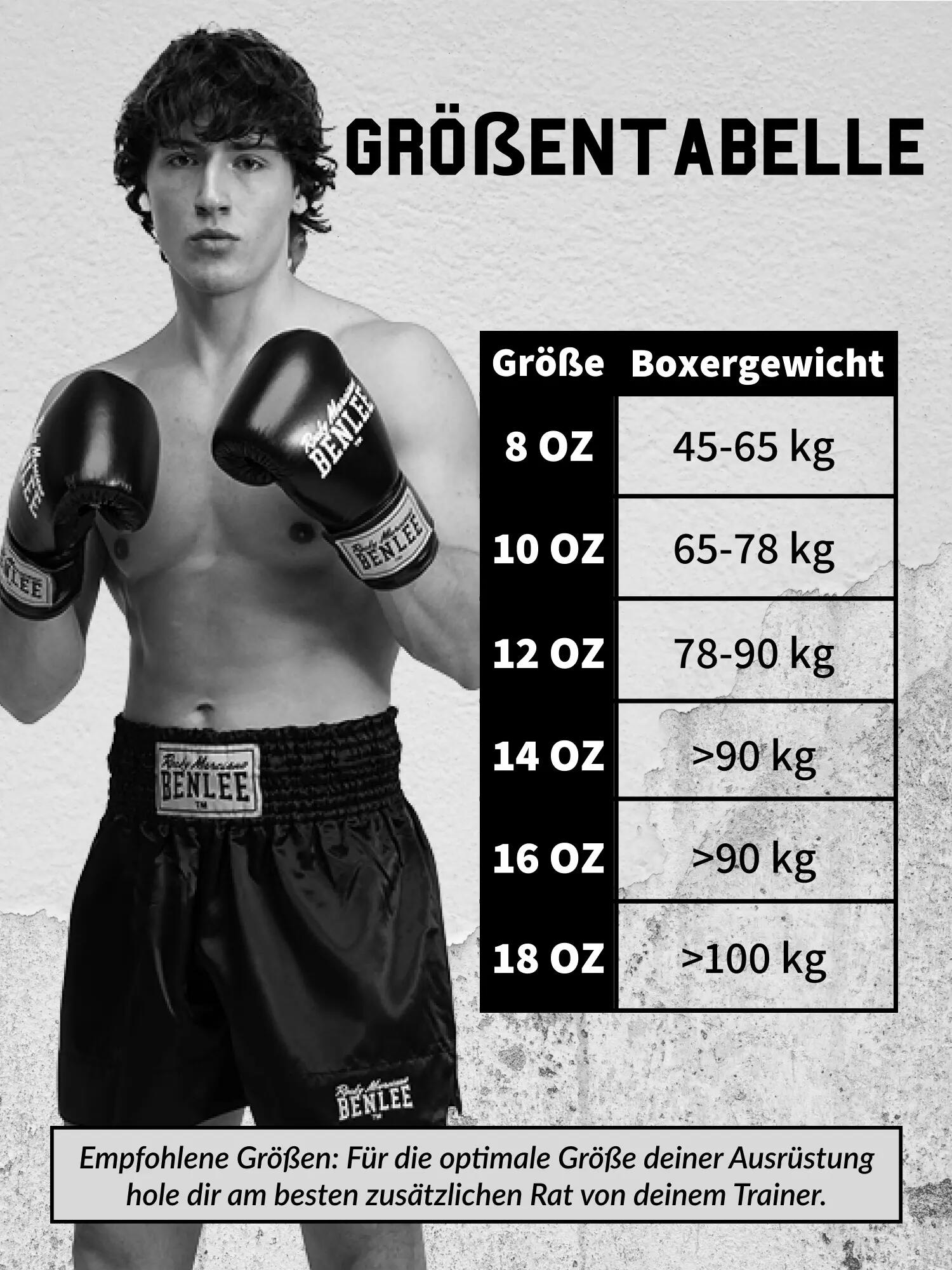 Boxhandschuhe Benlee Rockland 9/9
