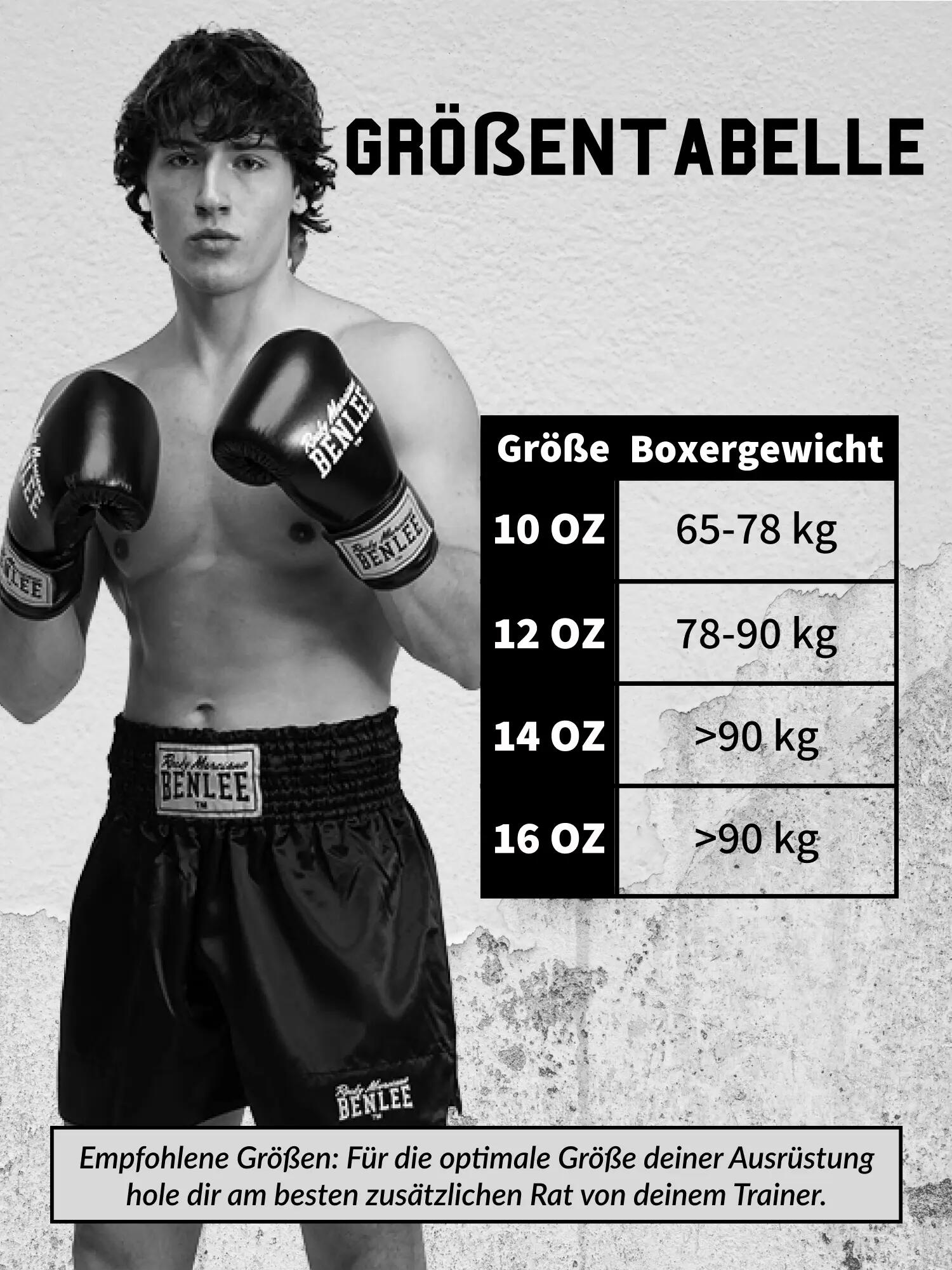 BENLEE Boxhandschuhe aus Leder METALSHIRE 9/9