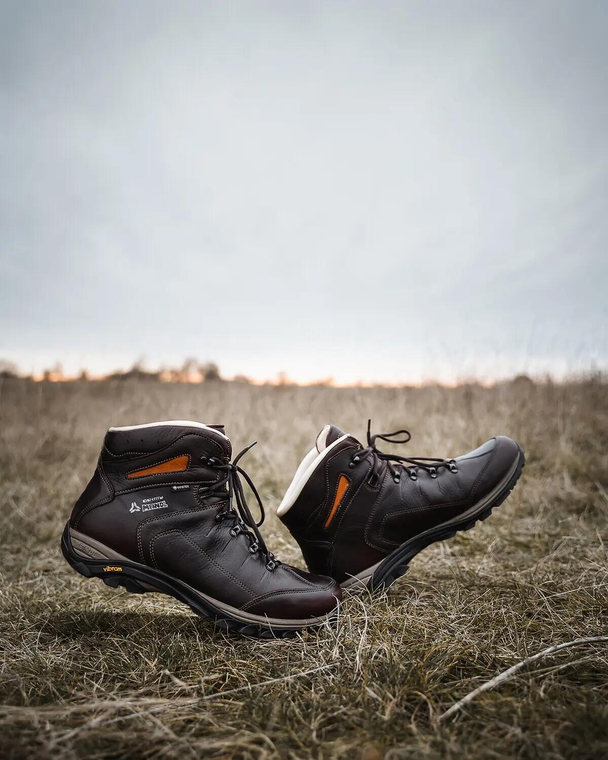 Wanderstiefel Tessin Identity GTX 10/11