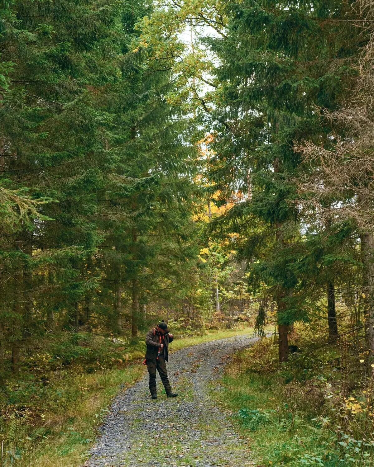 Regenjacke Pinewood Småland 8/9