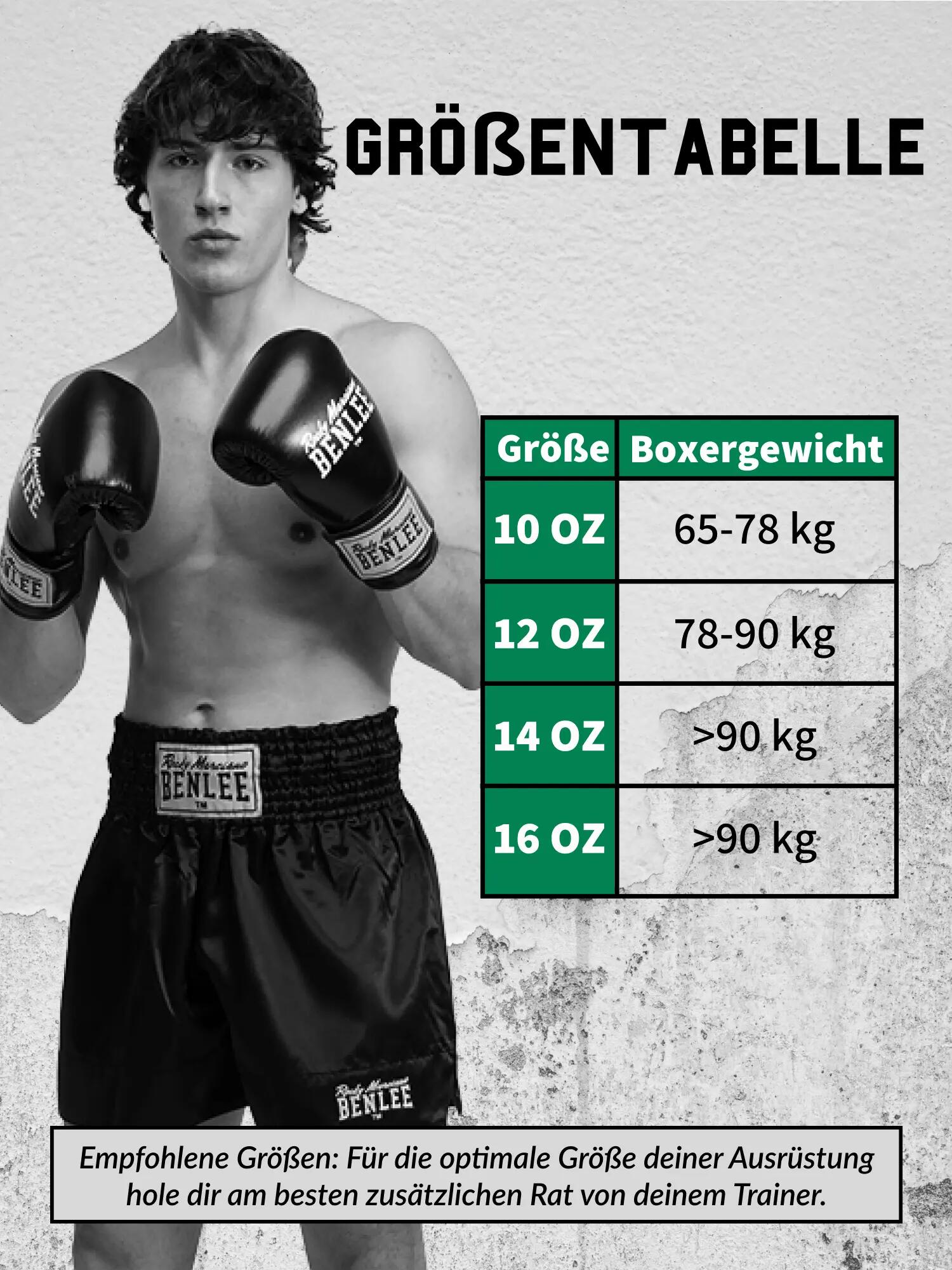 BENLEE Boxhandschuhe aus Leder METALSHIRE 9/9