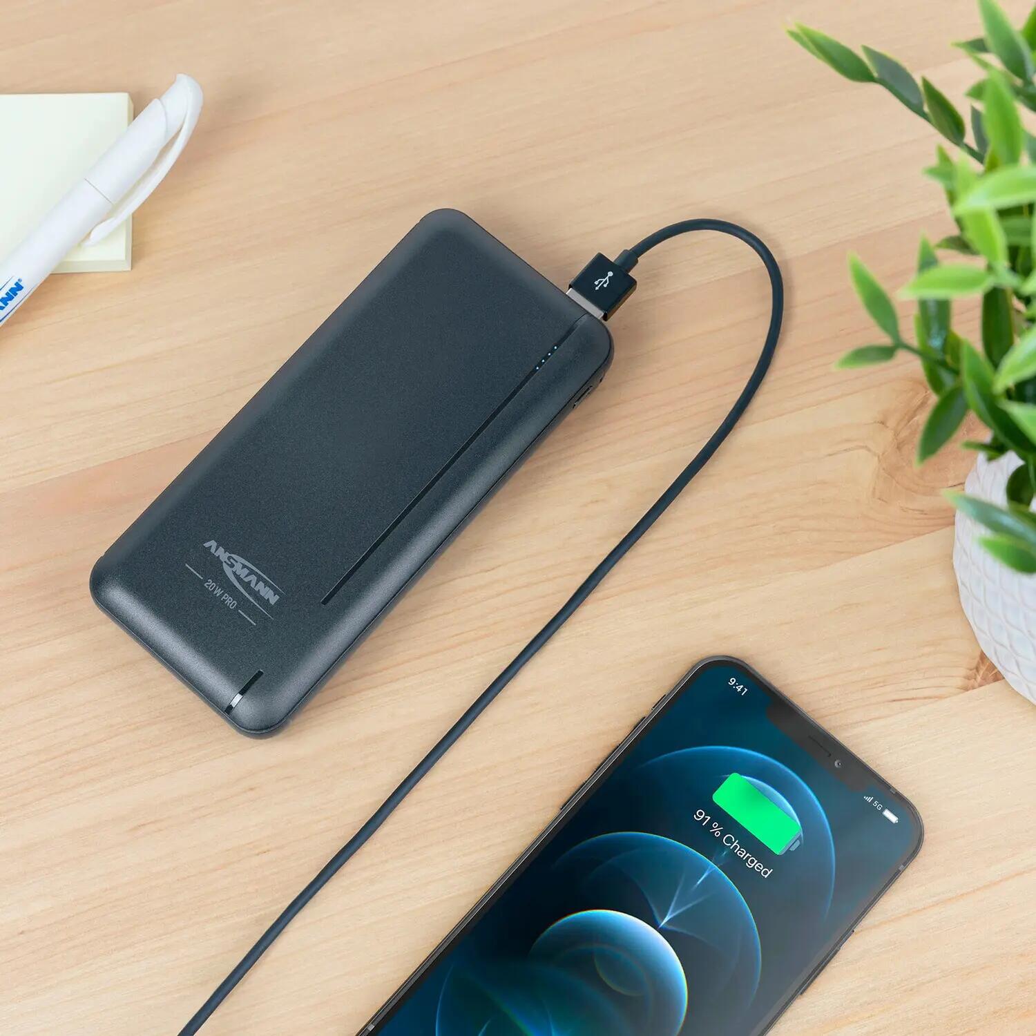 Powerbank 10000 mAh PB320PD 14/15