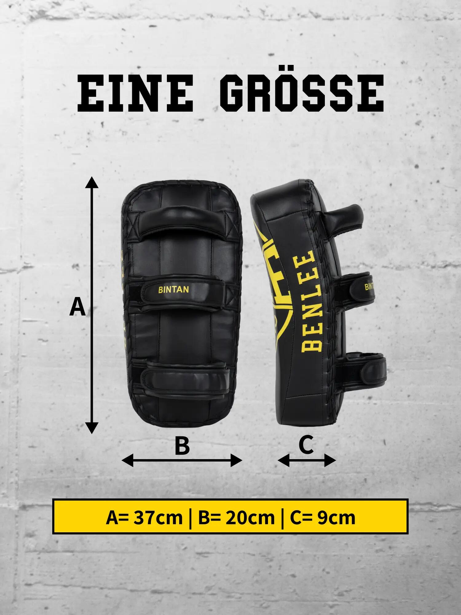 Protège avant-bras Benlee Bintan 9/9