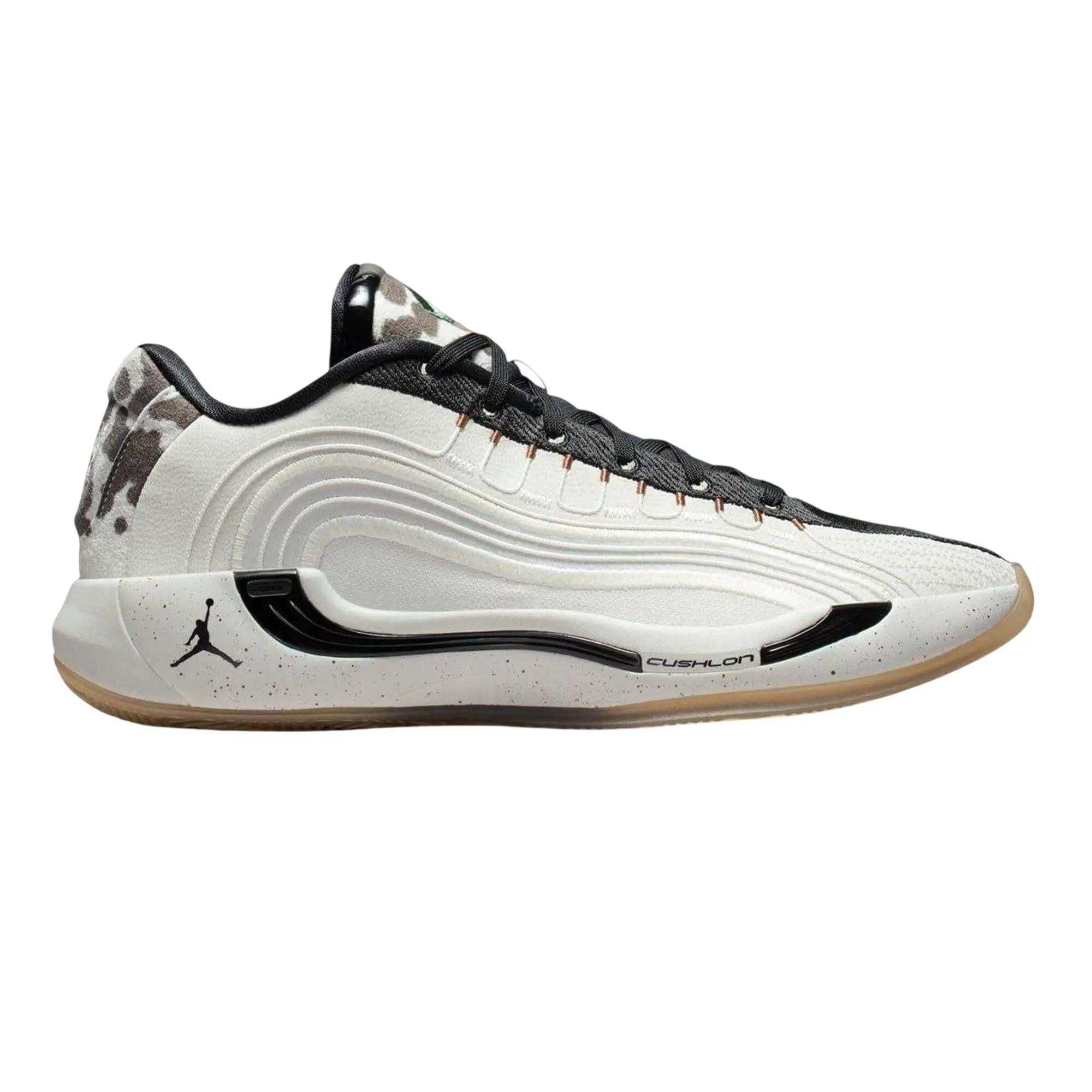 Nike Mens Air Jordan Basketball Shoes