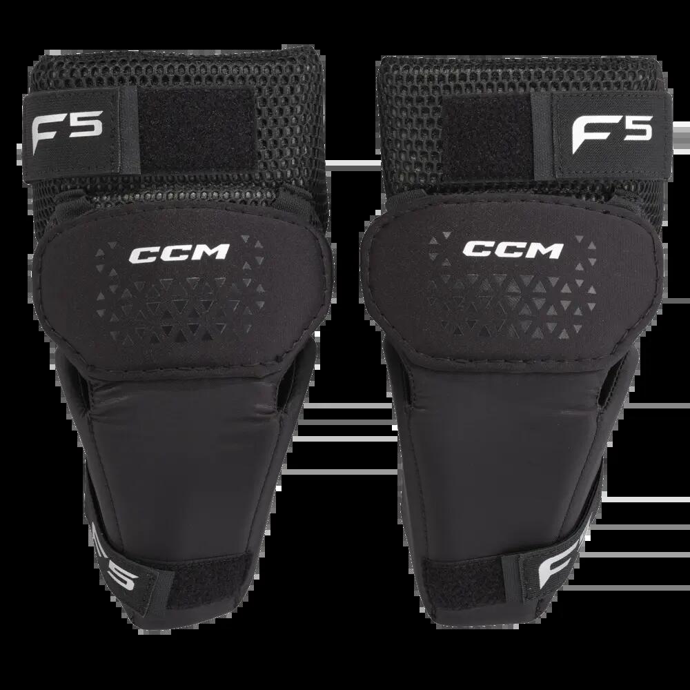 CCM picture