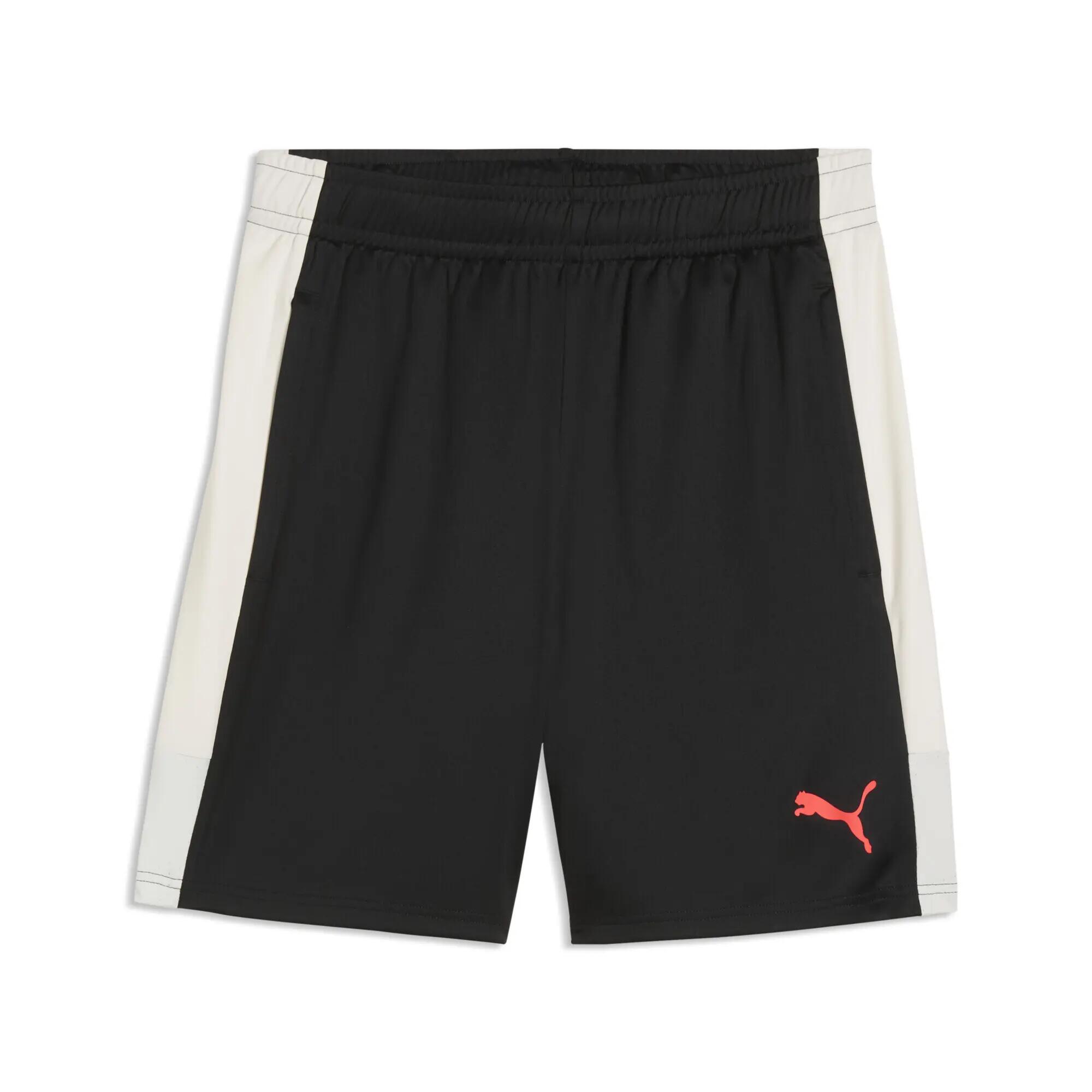 PUMA picture