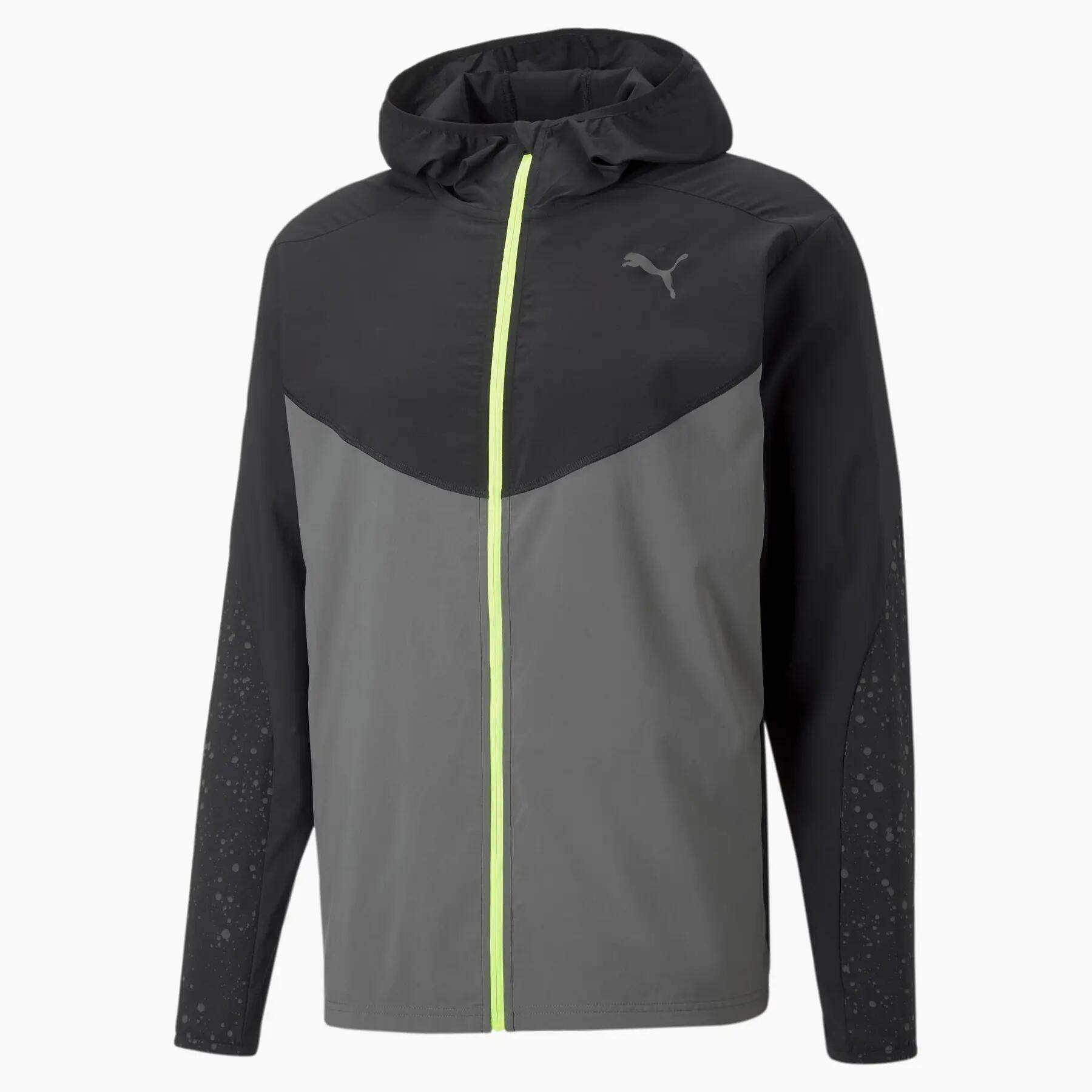 PUMA picture