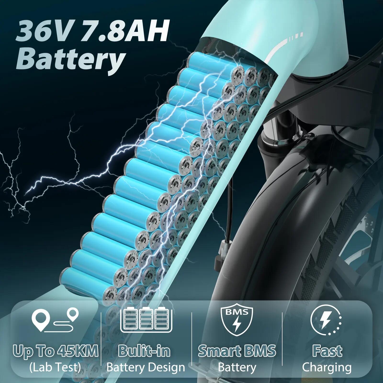 Elektrische fiets voor volwassenen Bodywel T16Pro, met een bagagedrager 7/12