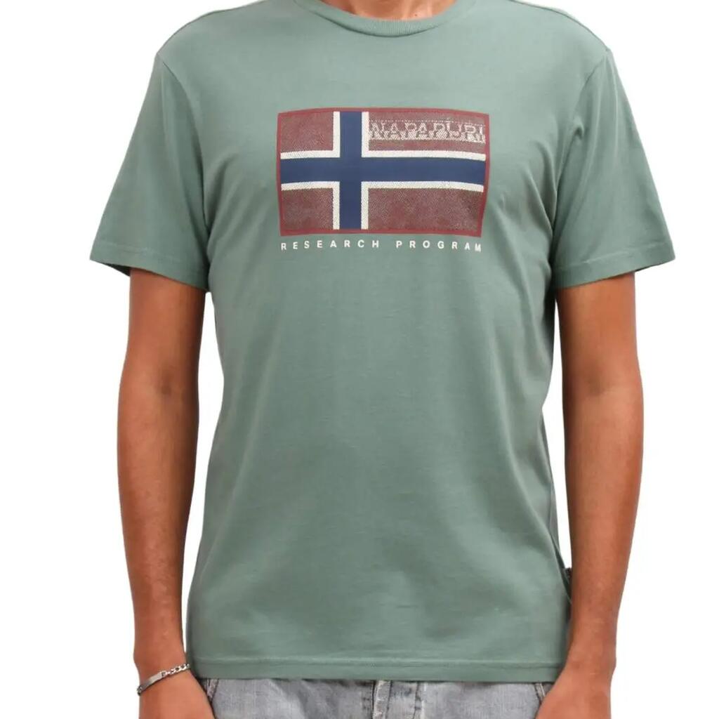 Men's T-shirt - Regular fit - Sage green