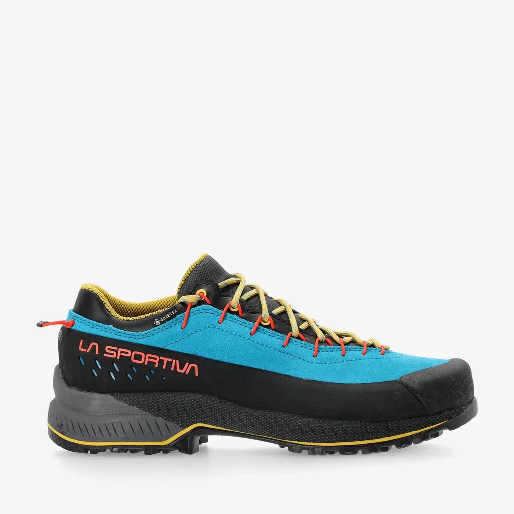 Buty trekkingowe męskie Tx4 Evo Gtx 44