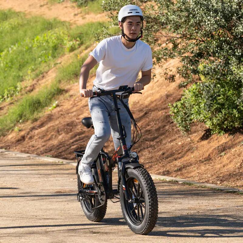 Bicicletta elettrica pieghevole YOUIN Texas BK1202B 20" FAT 250W 45 km 4/5