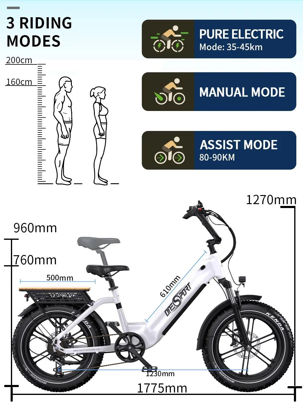Bicicletta elettrica adulti OT08 48V18Ah 20 pollici Fat TT 6/11