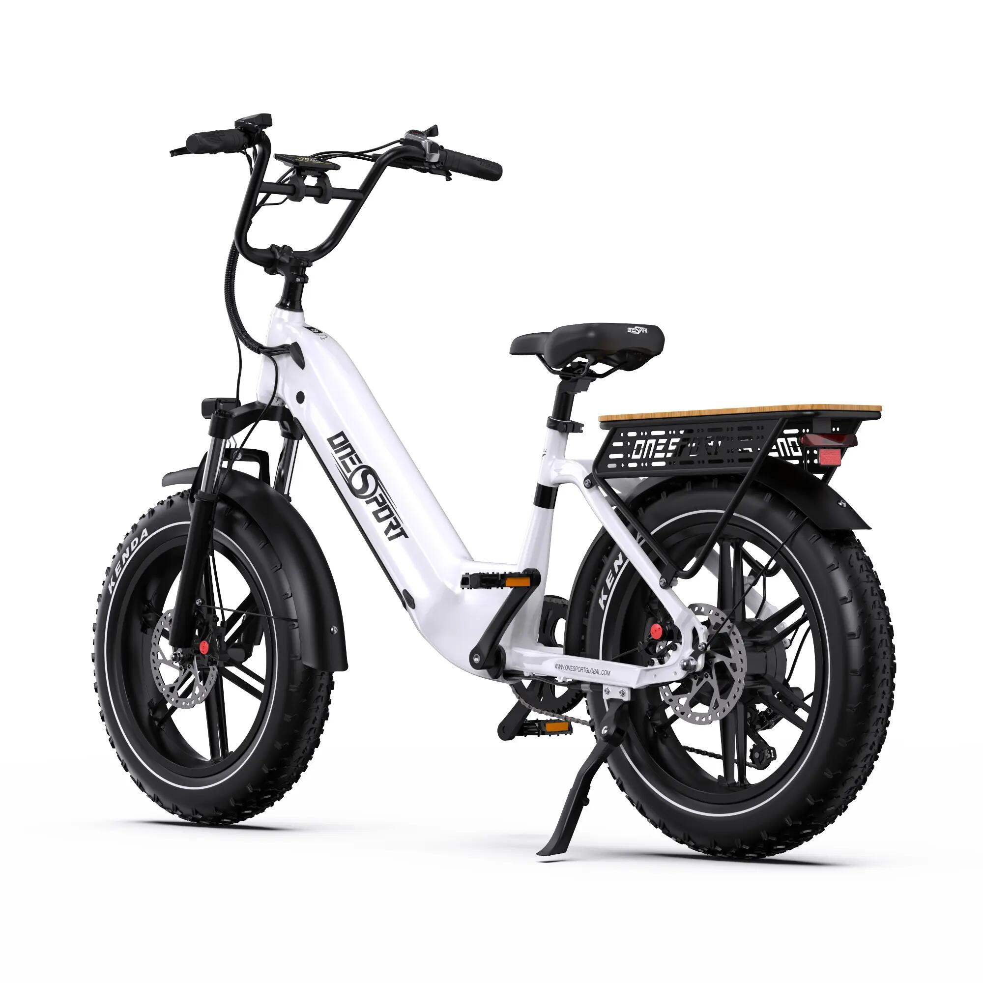 Bicicletta elettrica adulti OT08 48V18Ah 20 pollici Fat TT 5/11