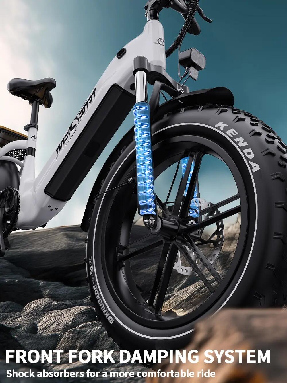 Bicicletta elettrica adulti OT08 48V18Ah 20 pollici Fat TT 10/11