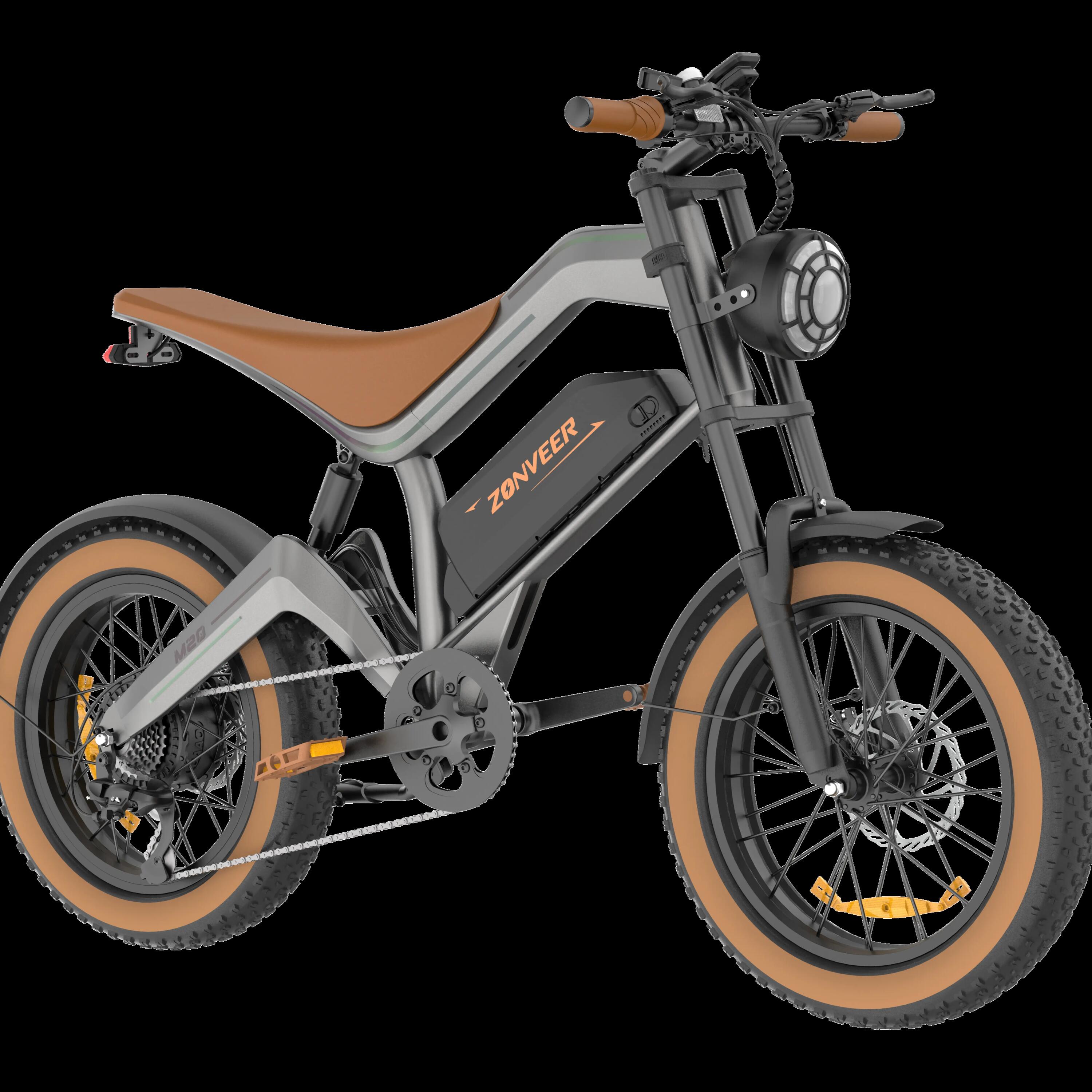 Vélo électrique adulte DYU M20 48V18.2AH 20 Pouces Pneu large 1/7
