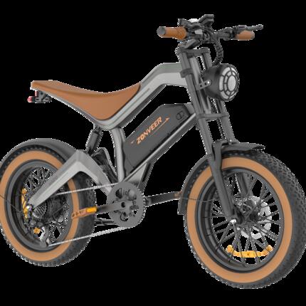 Vélo électrique adulte DYU M20 48V18.2AH 20 Pouces Pneu large