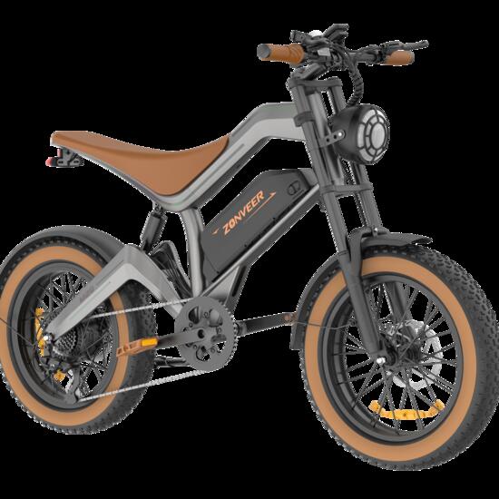 Vélo électrique adulte DYU M20 48V18.2AH 20 Pouces Pneu large