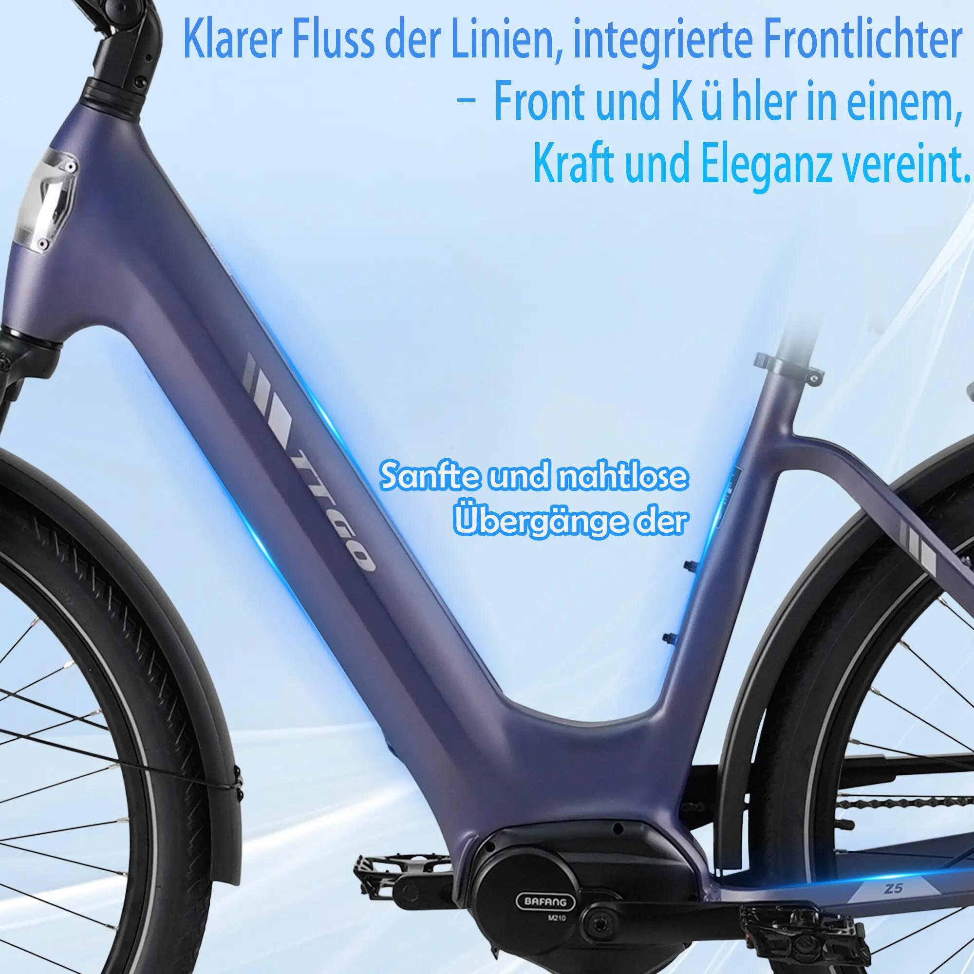 Elektrický bicykel pre dospelých TTGO Z5, motor 250 W, batéria 36 V 18 Ah 4/13