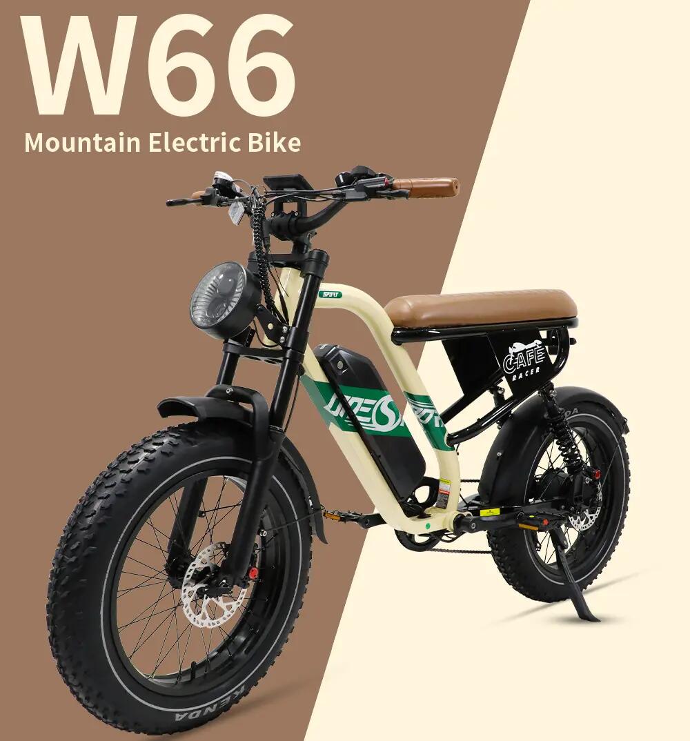 Bicicletta elettrica adulti W66 48V13.5Ah 20 pollici Fat Città 6/13