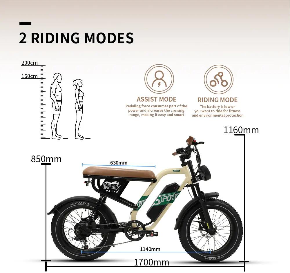 Bicicletta elettrica adulti W66 48V13.5Ah 20 pollici Fat Città 13/13
