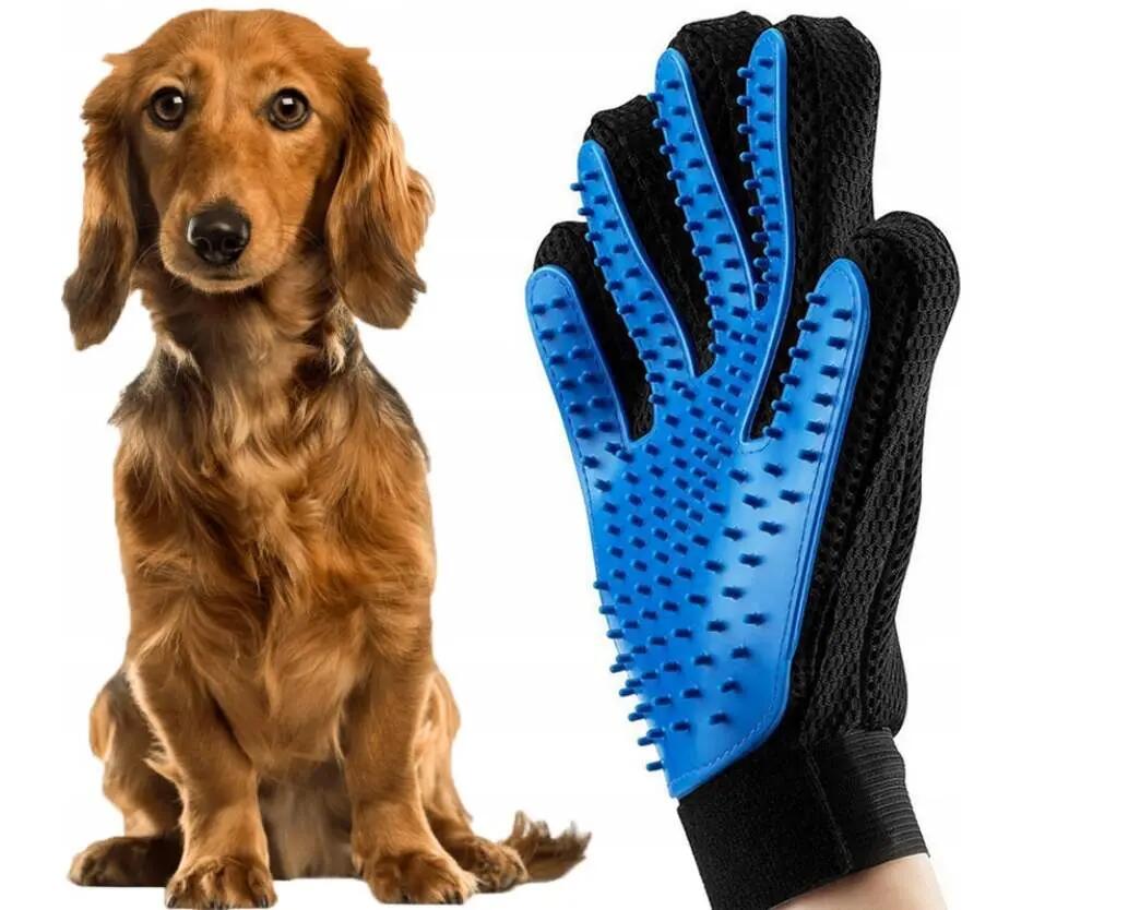 AQUA-SPORT picture