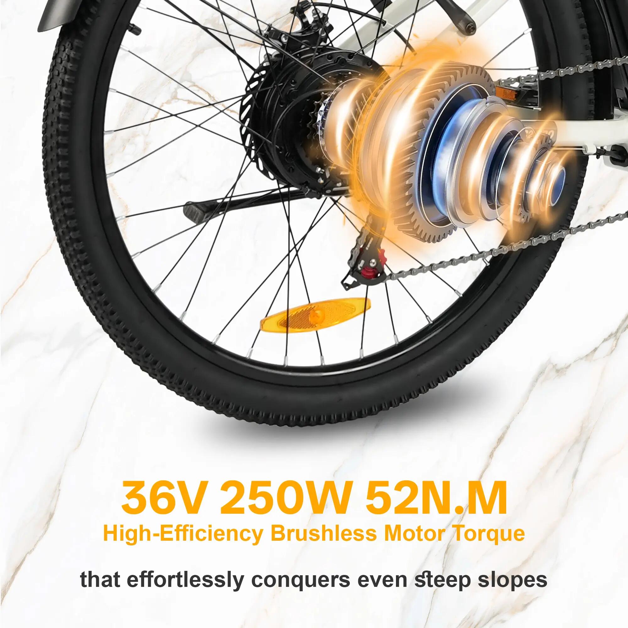 E-Bike für Erwachsene TTGO C2 PRO 250W 48V 13.5Ah Akku IPX5 5/7