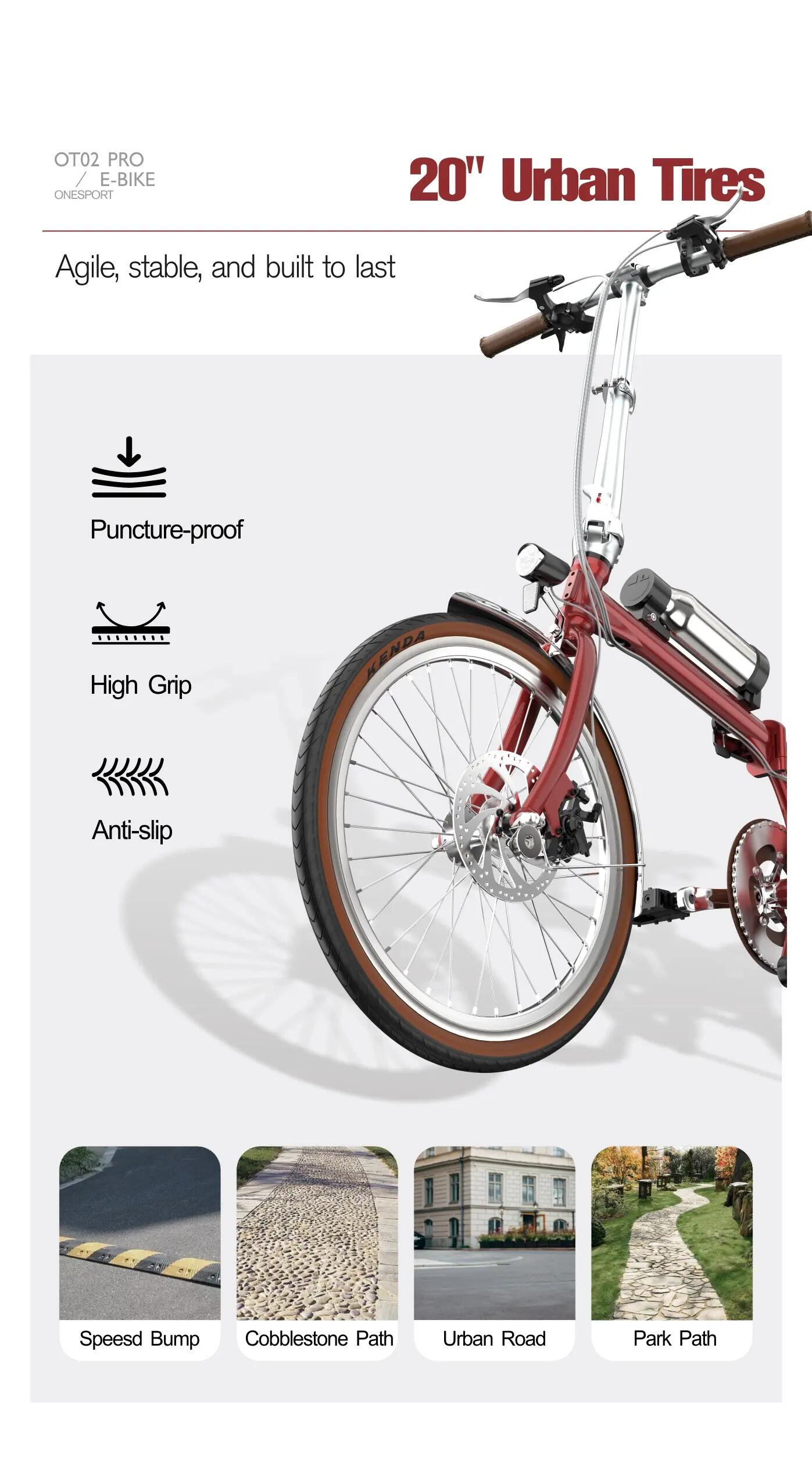 Bici elettrica pieghevole adulti OT02 Pro 250W 20" 36V5.2Ah Città 12/12