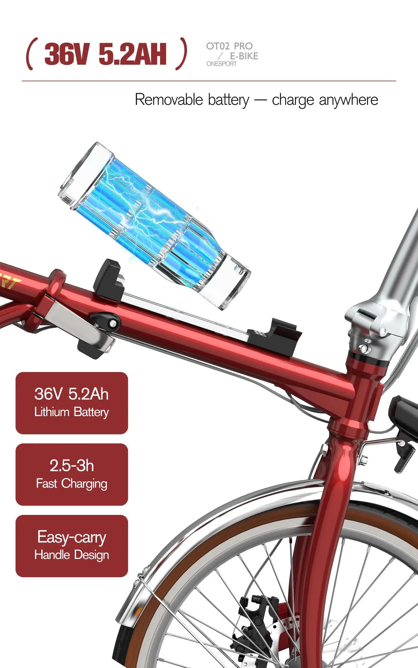 Bici elettrica pieghevole adulti OT02 Pro 250W 20" 36V5.2Ah Città 10/12