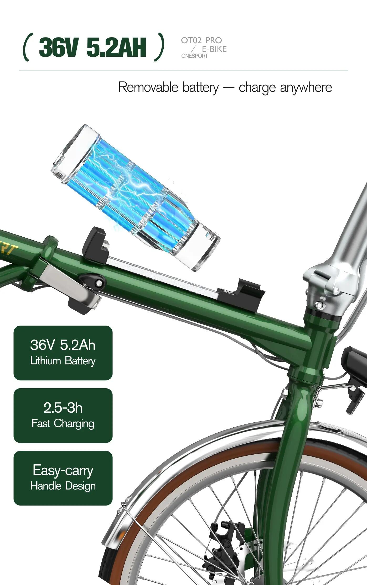 Bici elettrica pieghevole adulti OT02 Pro 250W 20" 36V5.2Ah Città 9/12